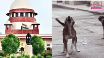 Supreme Court declined dog lovers' plea: