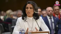 tulsi gabbard director of national intelligence
