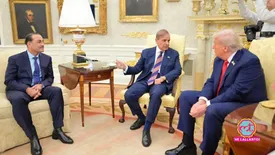 related-article-banner-image