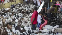Varanasi, Bakra Mandi, UP