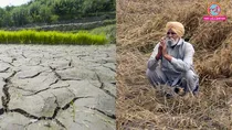 Monsoon Worries Grow for Farmers (Photo - Reuters)