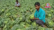 pm kisan 17th installment