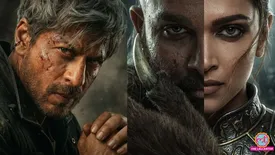 related-article-banner-image