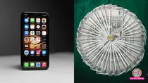 (Apple agrees to submit India financials)