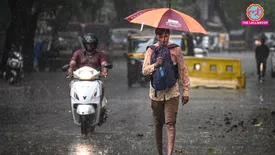 related-article-banner-image