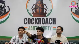 related-article-banner-image
