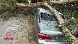 related-article-banner-image
