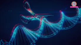 related-article-banner-image