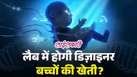 related-article-banner-image