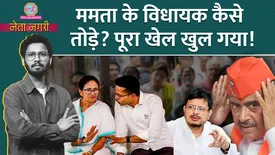 related-article-banner-image