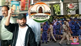 related-article-banner-image