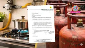 related-article-banner-image