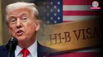 US H1B Visa, Donald Trump, US H1B Visa Donald Trump, US, H1B Visa, Donald Trump news, us news, us visa, us visa for indian
