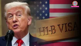 related-article-banner-image