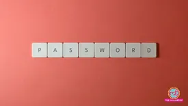 related-article-banner-image