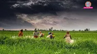 Monsoon 2026