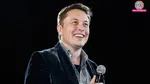Elon Musk wealth