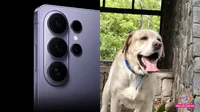 Samsung Unveils AI-Powered Pet Health Monitoring Tool
