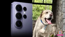 Samsung Unveils AI-Powered Pet Health Monitoring Tool