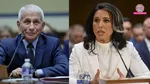 US, Tulsi Gabbard 