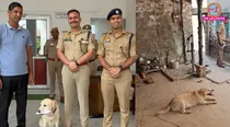 sambhal dog mary case