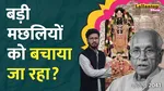 Ram Mandir 