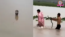 china floods 900 snakes escape woman dies many bitten