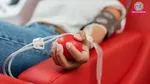 who should not donate blood & who can safely donate blood