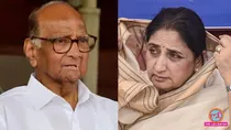 bjp condition sharad pawar ncp sp merger ajit pawar faction before joining nda