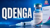 QDENGA gets approval as India's first dengue vaccine know everything about it