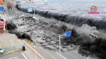 Japan Tsunami