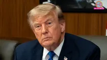 Donald Trump,White House, Donald Trump tariff, Donald Trump india, us india tariff, tariff on india, democratic party, democrats, us india, america