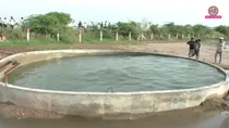 Gujarat Morbi shaking well
