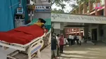  Gadchiroli  Snake Bite 