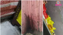 Mumbai Blinkit store: 