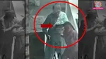 Gurugram, Gurugram domestic help assault, DLF The Camellias, Gurugram woman beats domestic help, Sector 42 Gurugram, Bharatiya Nyaya Sanhita