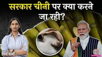 Sugar Price 