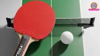 TTFI, Sports Ministry, table tennis federation of india suspension, Olympic Charter autonomy, IOA ad-hoc committee, governance lapses, Meghna Ahlawat, Kamlesh Mehta, ITTF statutes, टेबल टेनिस फेडरेशन ऑफ इंडिया