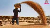 wheat export
