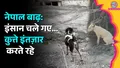 trending-image