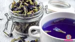 Blue Tea Success Story