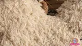 trending-image