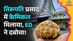 Tirupati Laddu controversy ED reportedly arrests Kailash Chand Mangla promoter of Sukriti Foods