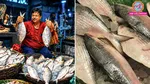 Why Is Bangladesh Buying Hilsa From Gujarat Despite Being a Major Hilsa Producer