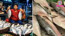 Why Is Bangladesh Buying Hilsa From Gujarat Despite Being a Major Hilsa Producer