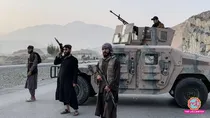 English Title Pakistan Checkpost Suicide Blast TTP Claims Responsibility for Deadly Attack in Dera Ismail Khan
