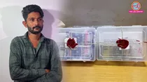vegetable vendor online fake currency: