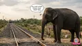 trending-image