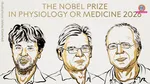 Nobel Prize Physiology Medicine 2026 winner