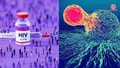 trending-image